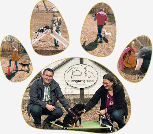 Hundetraining
