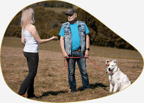 Hundetraining