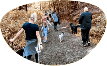 Hundetraining SocialWalk 2.0