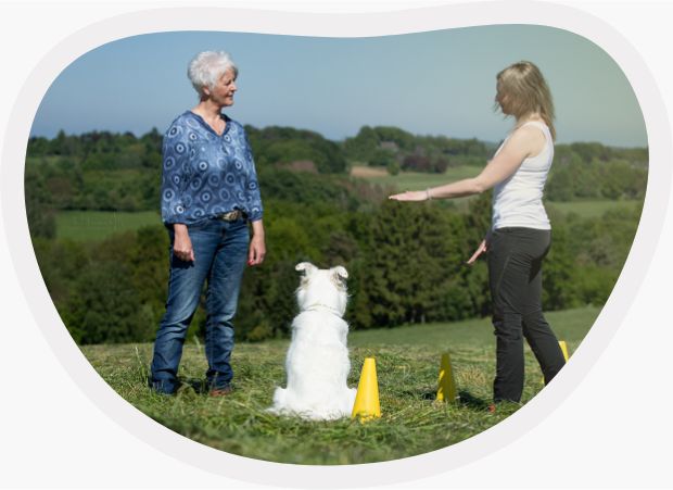 Basis Einzeltraining für Hunde bei EinzigArtigHund