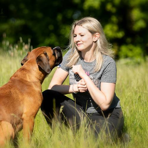 Gruppentraining für Hunde bei EinzigArtigHund