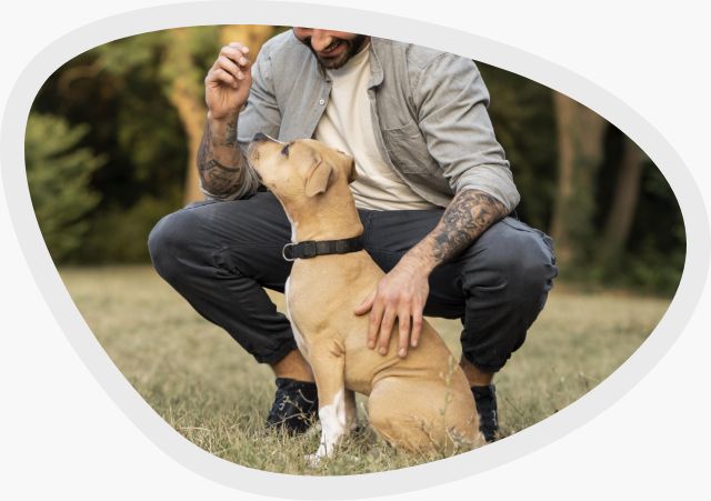 Junghundetraining für Anfänger und Fortgeschrittene