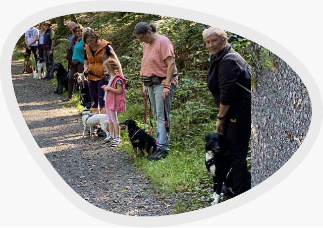 Social Walk für Hunde ei EInzigArtigHund