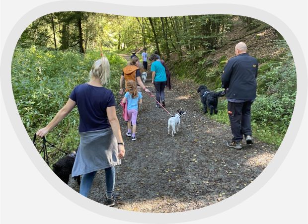 Lernspaziergang an der Leine Für Hunde